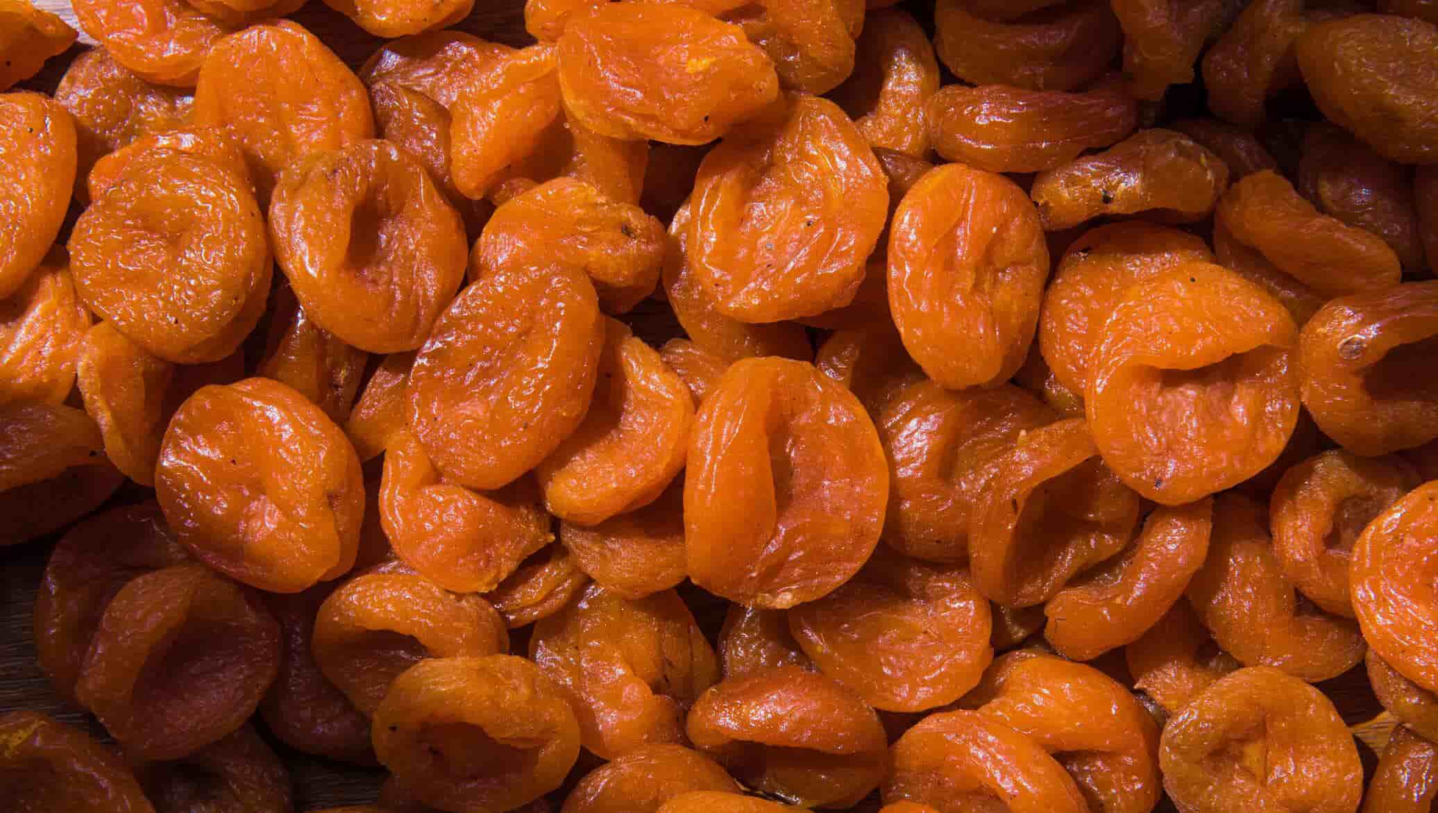 تصویر 2 از آلو بخارا جنگلی برداشت طبیعی و محیط بومی